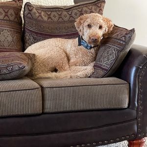 Meet your Posher, Jordan